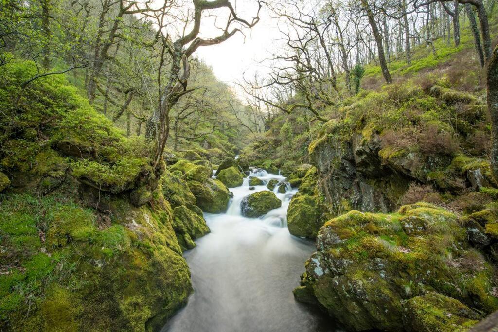 Charming Riverside Cottage In Snowdonia National Park Tanygrisiau Bagian luar foto