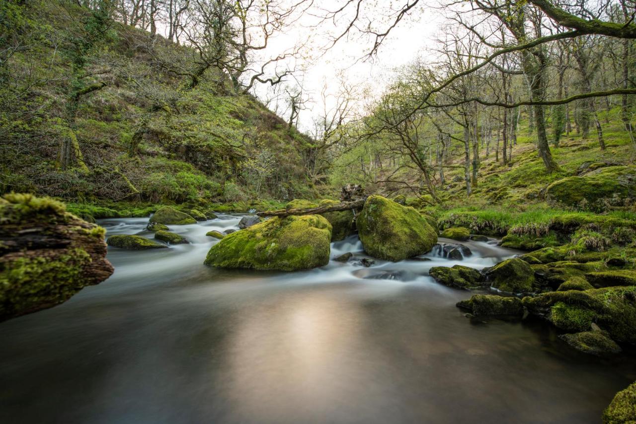 Charming Riverside Cottage In Snowdonia National Park Tanygrisiau Bagian luar foto